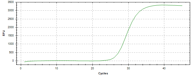 Amplification of cDNA generated from universal RNA.