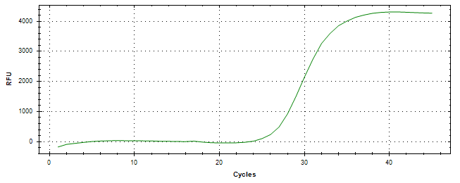 Amplification of cDNA generated from universal RNA.