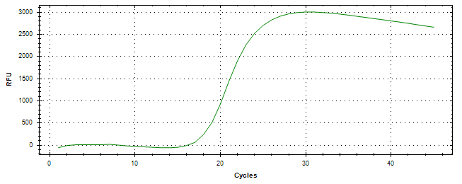 Amplification of cDNA generated from universal RNA.