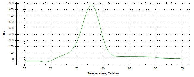 Melt curve analysis of above amplification.