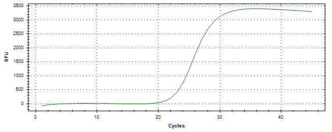 Amplification of cDNA generated from universal RNA.