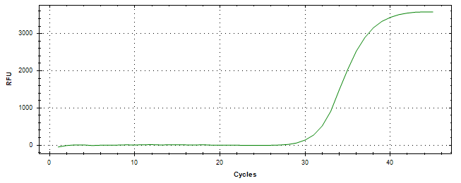 Amplification of cDNA generated from universal RNA.