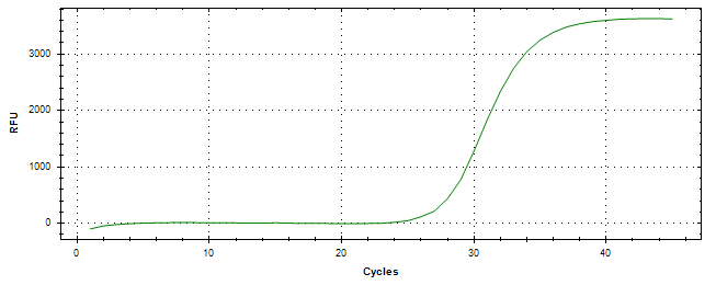 Amplification of cDNA generated from universal RNA.