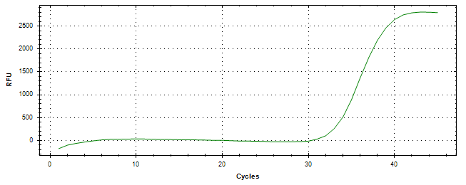 Amplification of cDNA generated from universal RNA.