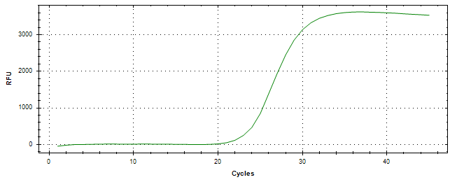 Amplification of cDNA generated from universal RNA.