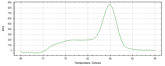 Melt curve analysis of above amplification.