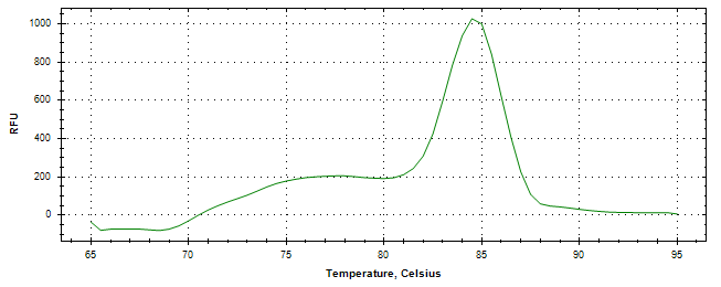 Melt curve analysis of above amplification.