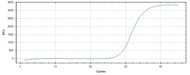 Amplification of cDNA generated from universal RNA.