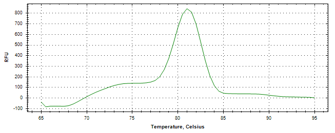 Melt curve analysis of above amplification.