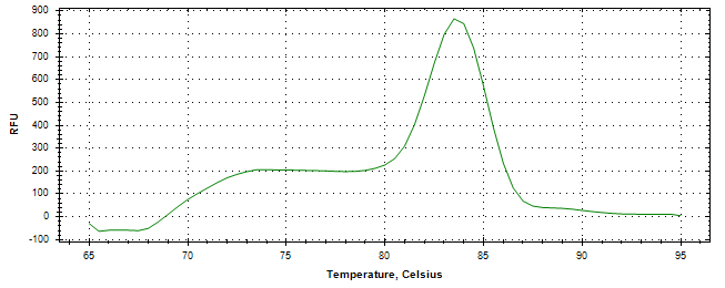 Melt curve analysis of above amplification.