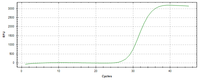 Amplification of cDNA generated from universal RNA.