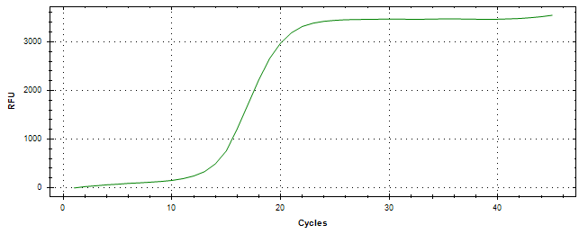 Amplification of cDNA generated from universal RNA.