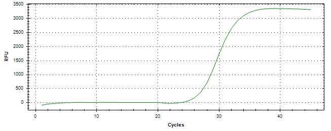 Amplification of cDNA generated from universal RNA.