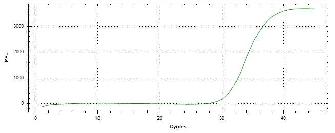 Amplification of cDNA generated from universal RNA.