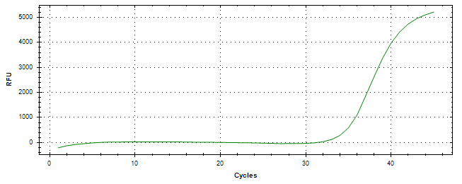 Amplification of cDNA generated from universal RNA.