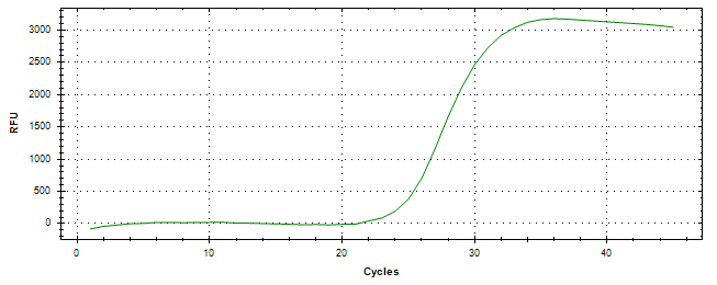 Amplification of cDNA generated from universal RNA.