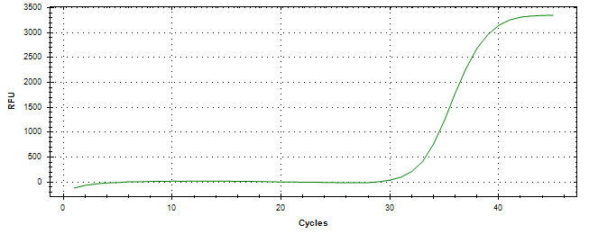Amplification of cDNA generated from universal RNA.