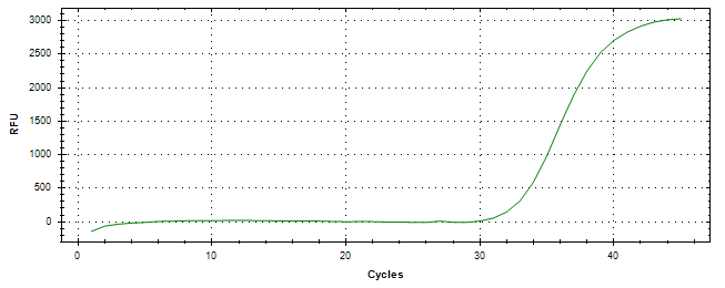 Amplification of cDNA generated from universal RNA.