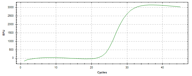 Amplification of cDNA generated from universal RNA.