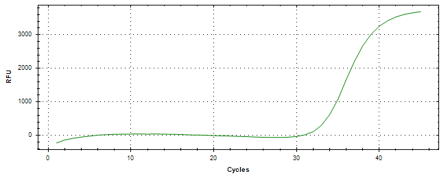 Amplification of cDNA generated from universal RNA.