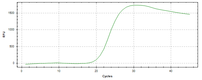Amplification of cDNA generated from universal RNA.