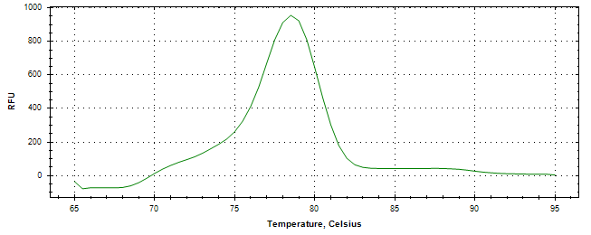 Melt curve analysis of above amplification.