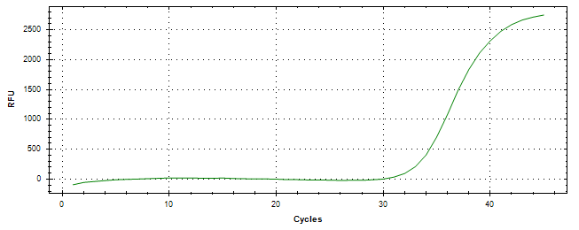 Amplification of cDNA generated from universal RNA.