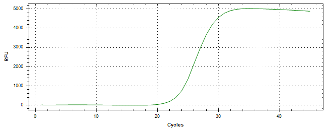 Amplification of cDNA generated from universal RNA.