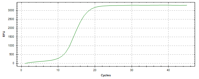 Amplification of cDNA generated from universal RNA.