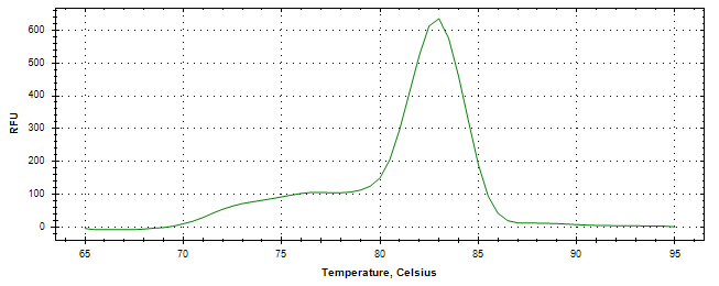 Melt curve analysis of above amplification.