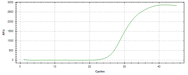 Amplification of cDNA generated from universal RNA.