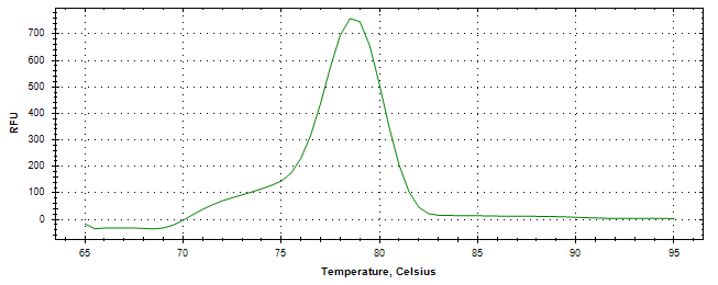 Melt curve analysis of above amplification.