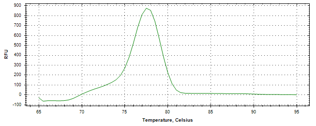 Melt curve analysis of above amplification.