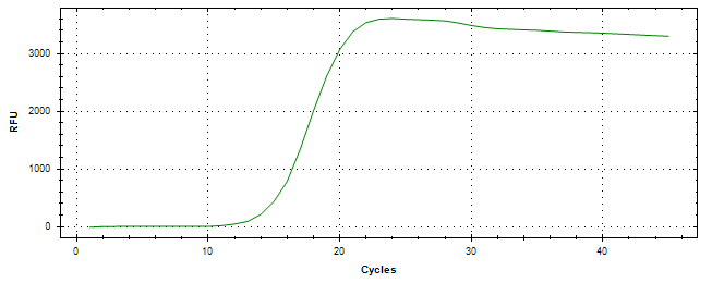 Amplification of cDNA generated from universal RNA.