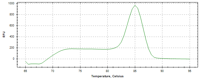 Melt curve analysis of above amplification.