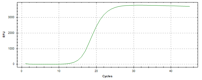 Amplification of cDNA generated from universal RNA.