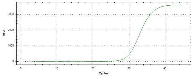 Amplification of cDNA generated from universal RNA.