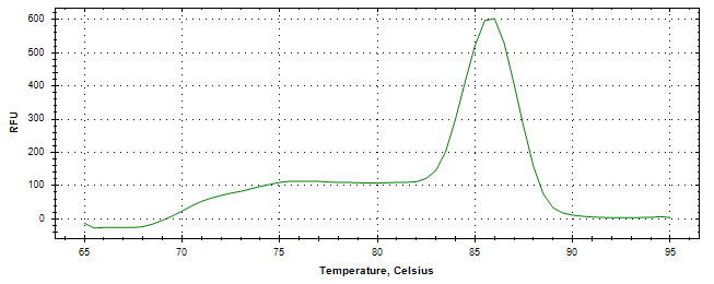 Melt curve analysis of above amplification.