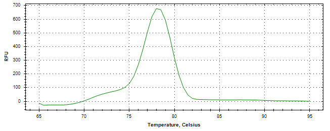 Melt curve analysis of above amplification.