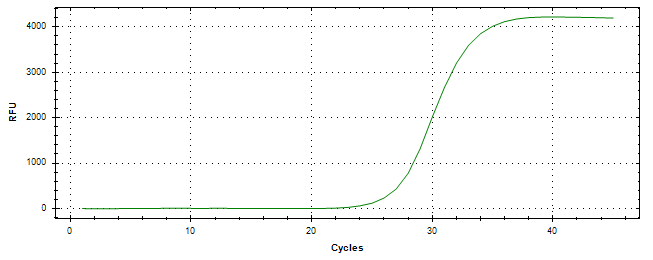 Amplification of cDNA generated from universal RNA.