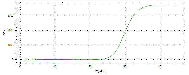 Amplification of cDNA generated from universal RNA.