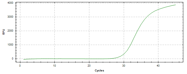 Amplification of cDNA generated from universal RNA.