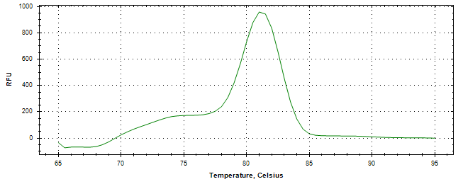 Melt curve analysis of above amplification.