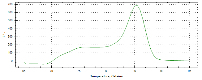 Melt curve analysis of above amplification.