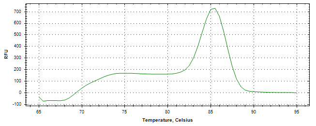 Melt curve analysis of above amplification.