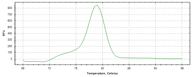 Melt curve analysis of above amplification.