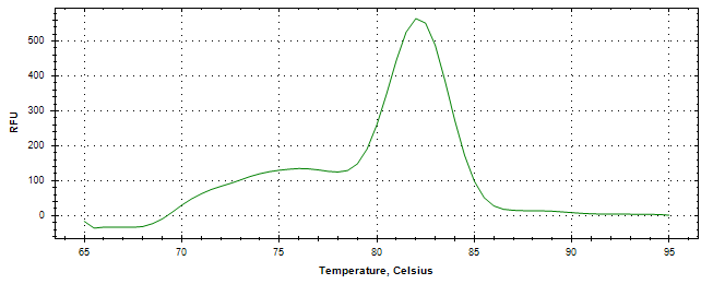 Melt curve analysis of above amplification.