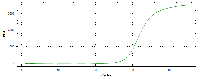 Amplification of cDNA generated from universal RNA.