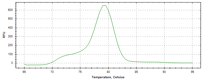 Melt curve analysis of above amplification.