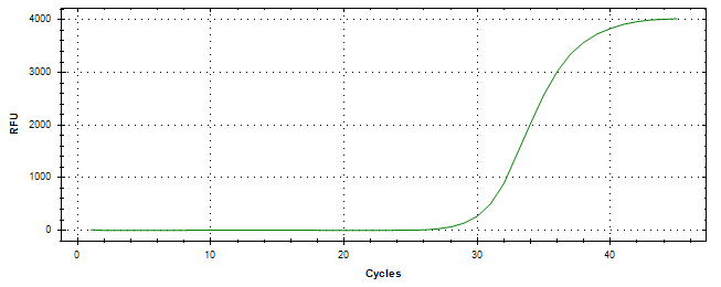 Amplification of cDNA generated from universal RNA.